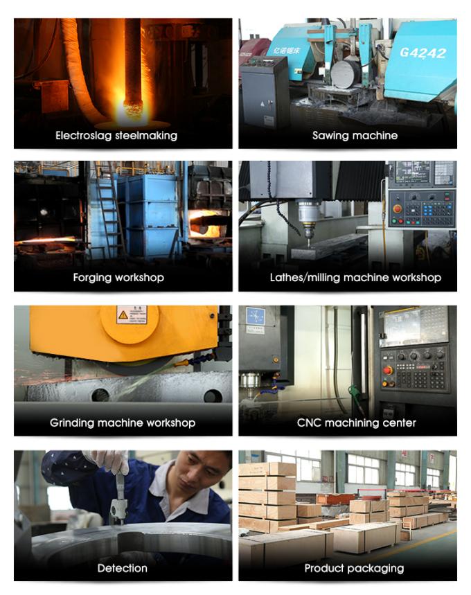 ওএম ফ্লাইং শেয়ার ব্লেড এইচআরসি 55 রিবারস আয়রন বার কাটার ব্লেড 12